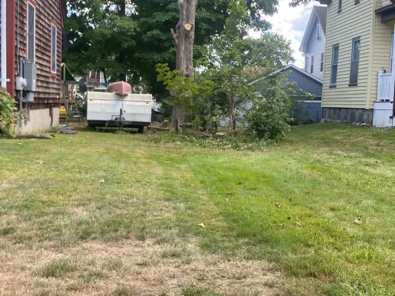 Tree Trimming 02-09-26 (5)